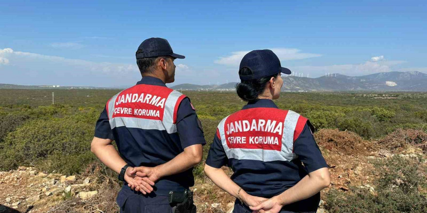 Aydın’da jandarma ekiplerinden Bafa Gölü’ndeki kuş ve balık türlerini korumak için yoğun denetim