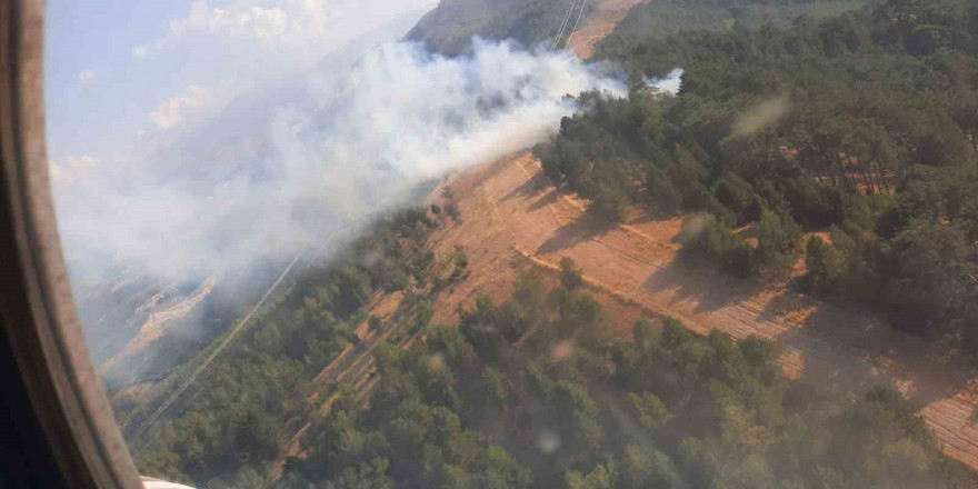 Aydın’da yıldırım kaynaklı yangınlar söndürüldü