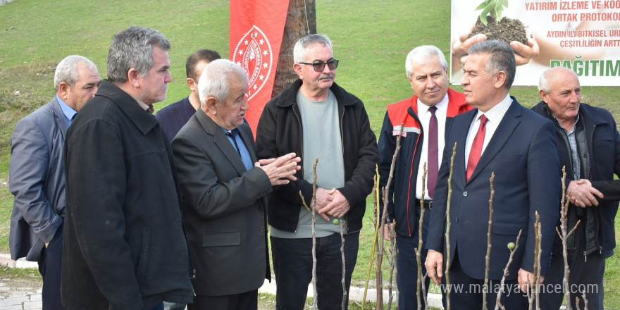 Aydın’ın ilk ilek bahçesi Buharkent’te kurulacak