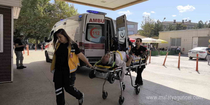 Aynı ağaçtan düşen amca ve yeğen yaralandı