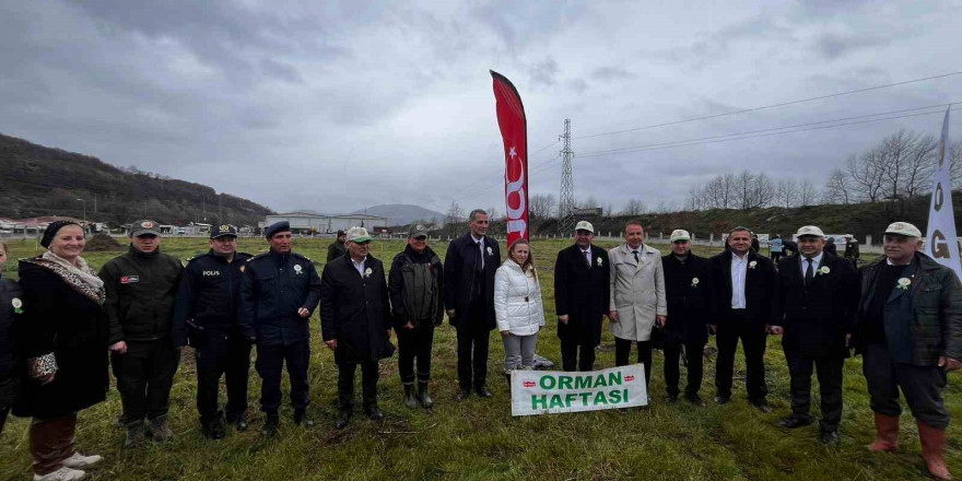 Bafra’da “Küllerinden Doğan Ormanlar” etkinliği