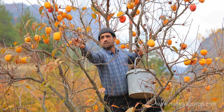 Bahçede 25, markette 80 lira