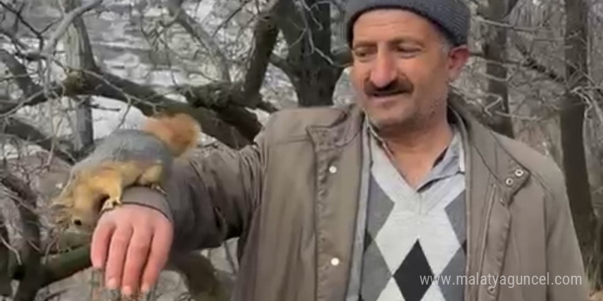 Bahçesaray’ın sevimli sincabı ilgi odağı oldu