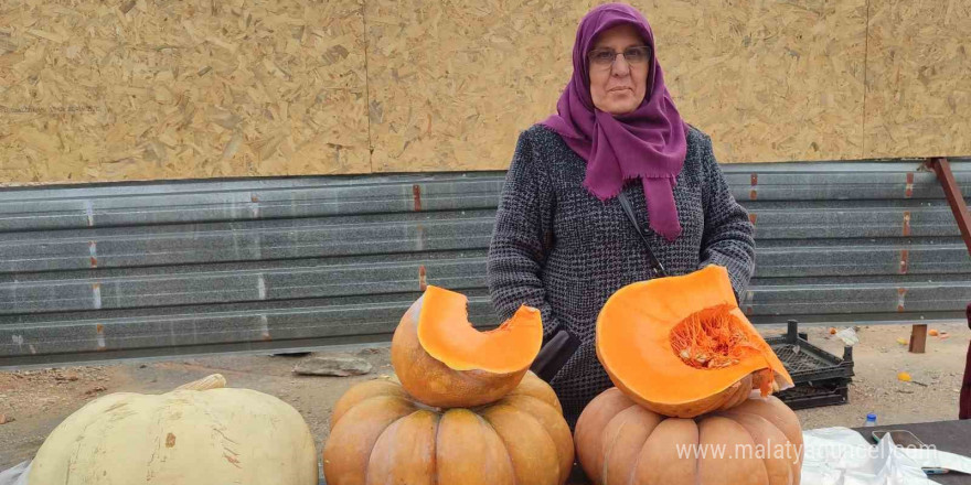 Bahçesinde ürettiği balkabağı geçim kaynağı oldu