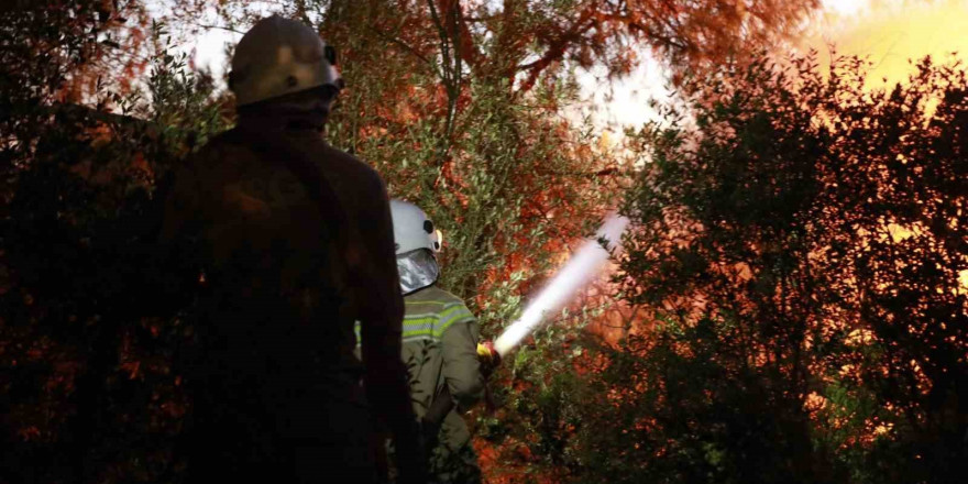 Bakan Yumaklı: 'Kuşadası’ndaki orman yangını kontrol altında'