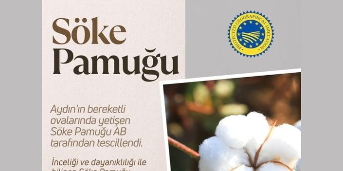 Bakan Yumaklı’dan Söke Pamuğu paylaşımı