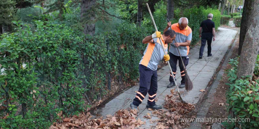 Bakırköy Belediyesi insan, çevre ve sokak canlılarının sağlığı için çalıştı