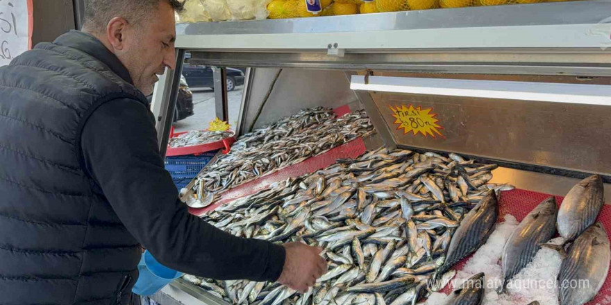 Balık tezgahları şenlendi