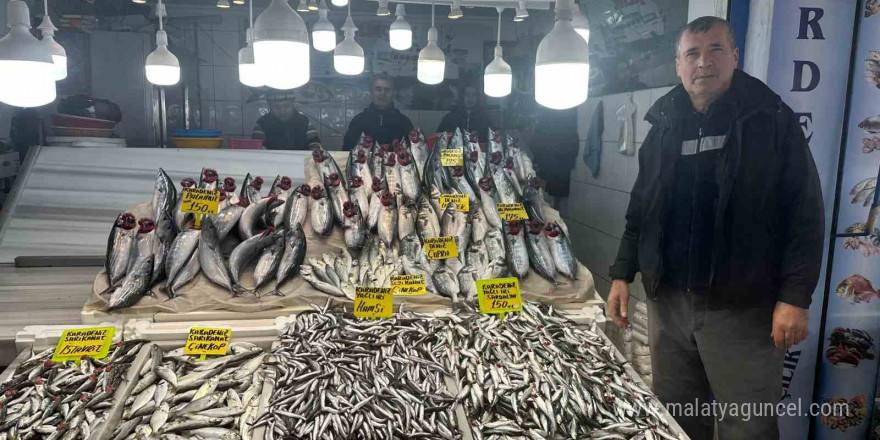 Balık tezgahlarında Hamsi, Çinekop ve Palamut bolluğu