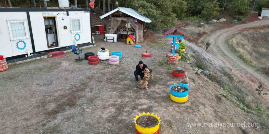 Balıkçı ile köpeklerin sıra dışı arkadaşlığı