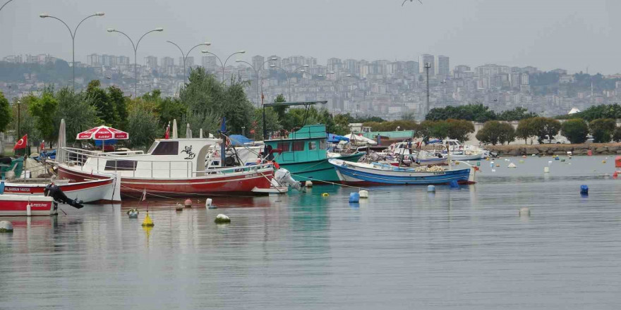 Balıkçılara gemilerinin boy uzunluğuna göre destek ödemesi yapılacak