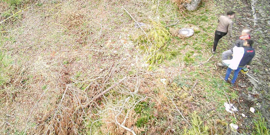 Balıkesir ormanları foto kapanlarla korunuyor