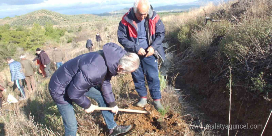 Balıkesir’de 7’den 70’e fidan diktiler