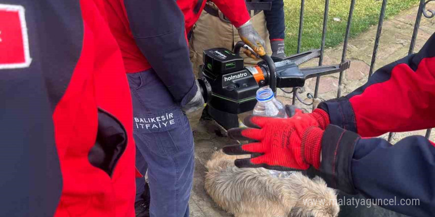 Balıkesir’de bahçe kapısına sıkışan köpek kurtarıldı