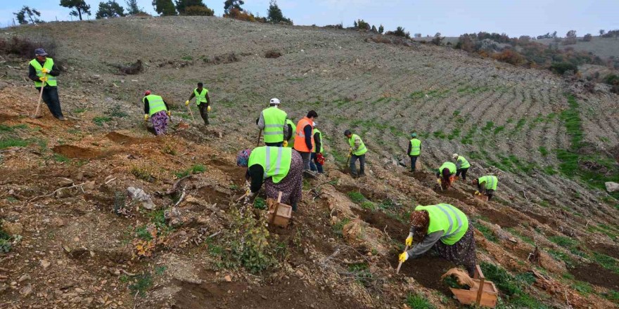 Balıkesir’de orman köylüsü bildiği işle kalkındırılıyor