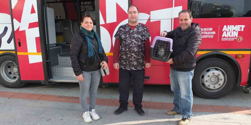 Balıkesir’de sokak hayvanları çok şanslı