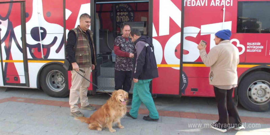 Balıkesir’de sokak hayvanları çok şanslı