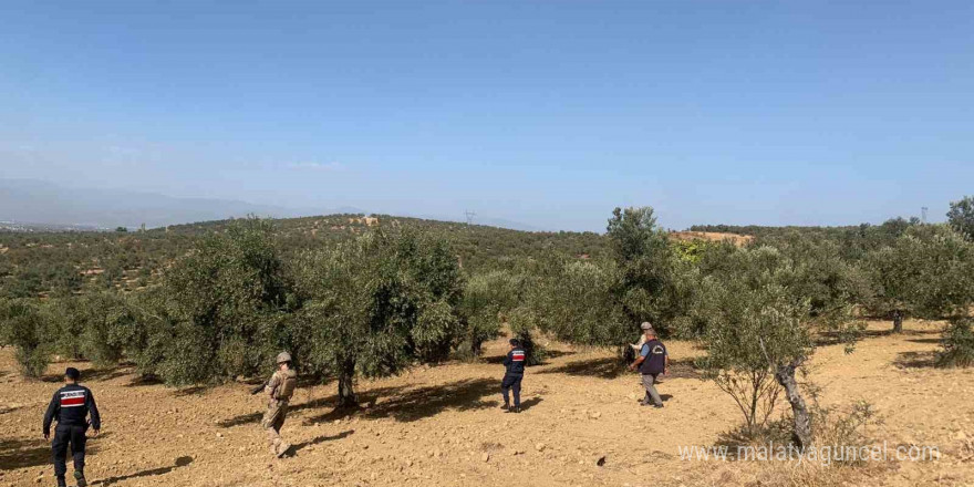 Balıkesir’de zeytinliklere jandarma koruması