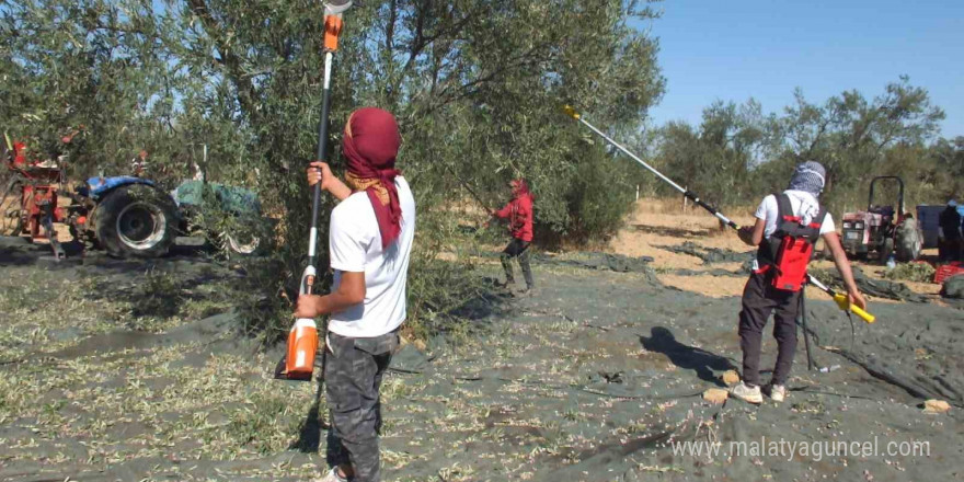 Balıkesirli kaşifin yaptığı makineler zeytin hasadını kolaylaştırdı