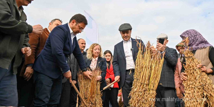 Balıkesirli susam üreticilerine büyük destek