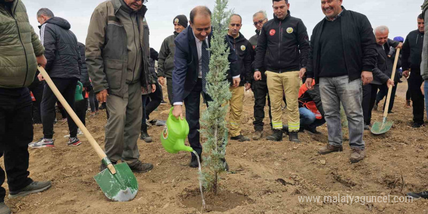 Bandırma’da yanan alanda 750 çam fidanı toprakla buluştu