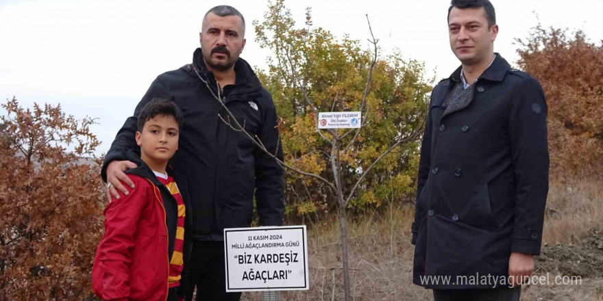 Başbuğ Alparslan Türkeş hatıra ormanına çınar fidanı diktiler