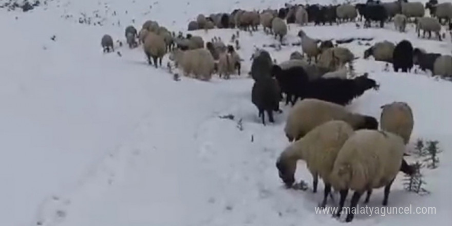 Başkale’de kar etkili oldu, yollar kapandı