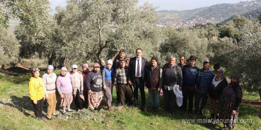 Başkan Arıcı zeytin hasadında üreticiler ve işçiler ile bir araya geldi