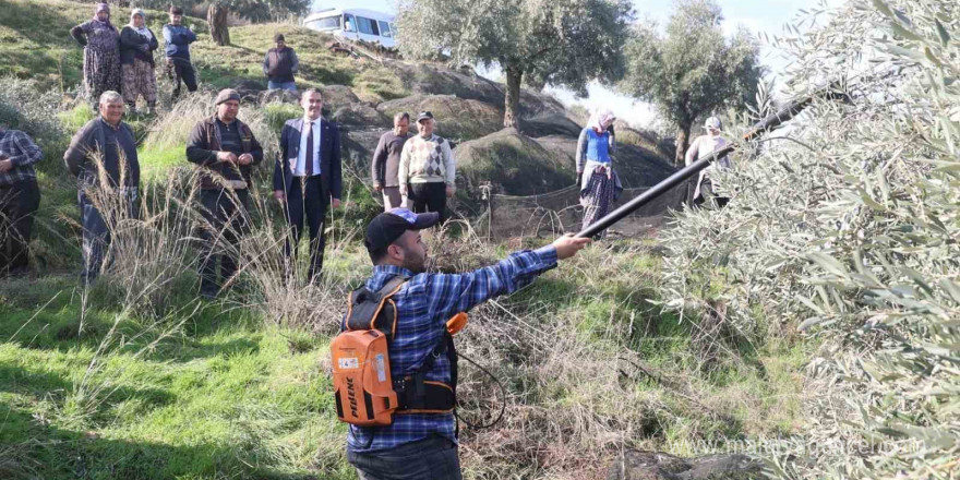 Başkan Arıcı zeytin hasadında üreticiler ve işçiler ile bir araya geldi