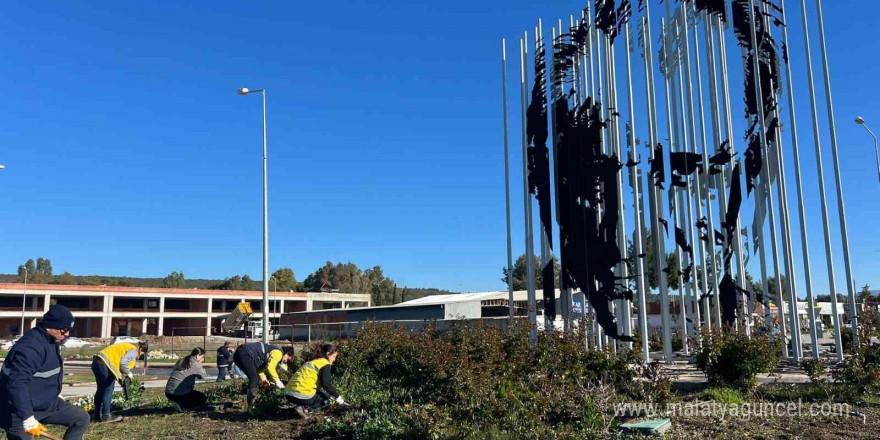 Başkan Çerçioğlu Didim’i rengarenk çiçekler ile süslüyor