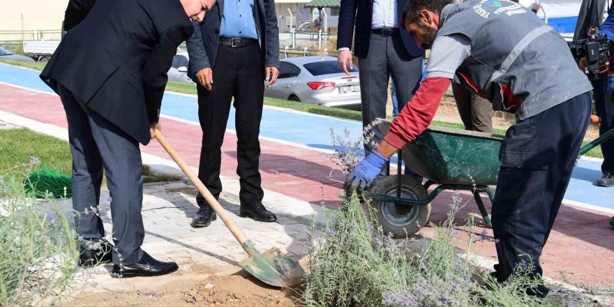 Başkan Çınar, Lavanta bahçelerini inceledi