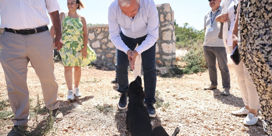 Başkan Şadi Özdemir, sokak hayvanları için hazırlanan projeyi inceledi