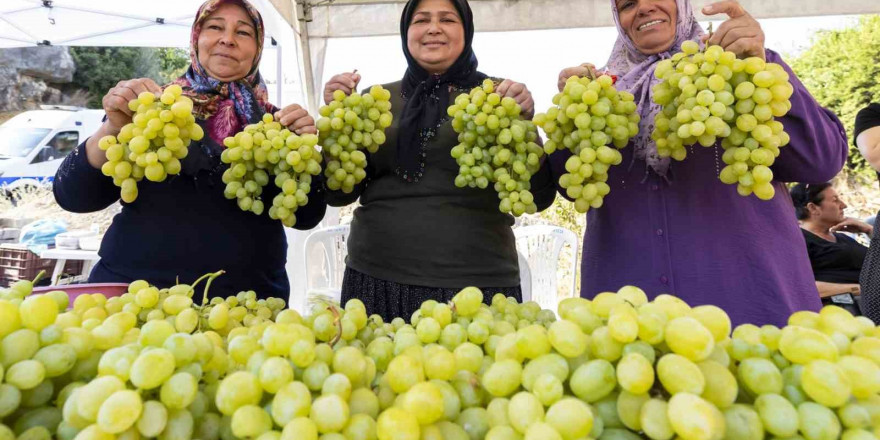 Başkan Seçer: 'Akdeniz meyve sineğiyle mücadeleye katkı yapacağız'