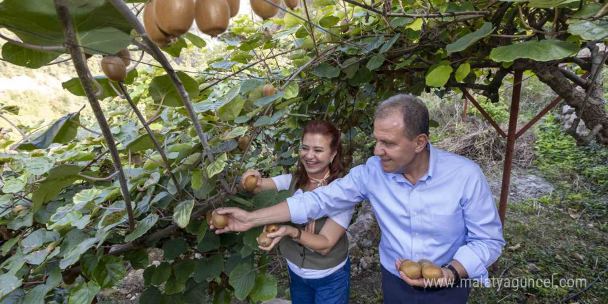 Başkan Seçer, ’Kivi Şenliği’ne katıldı