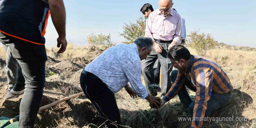 Başkan Yalçın: 'Diktiğiniz fidanlar dünyaya iyilik olarak yansıyacak'