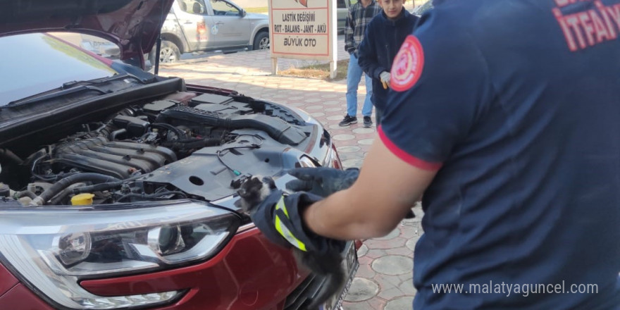 Batman’da araç motoruna giren kedi kurtarıldı