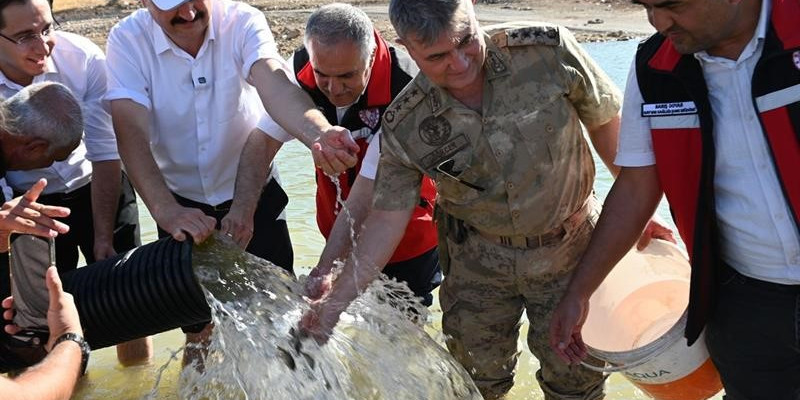 Batman’da baraj göllerine 2 milyon yavru sazan balığı bırakıldı