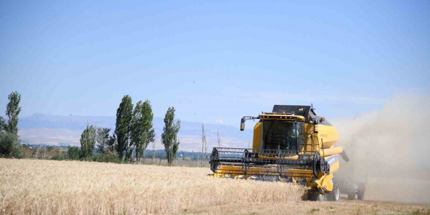 Battalgazi Ziraat Mesleki ve Teknik Anadolu Lisesi’nde buğday hasadı