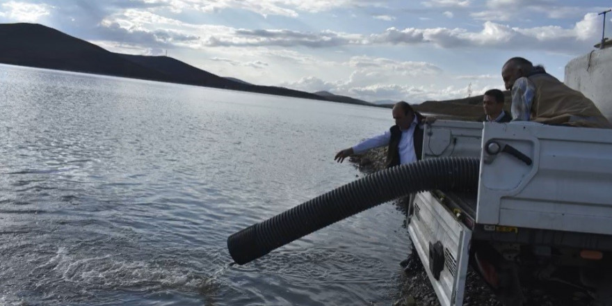 Bayburt’ta baraj ve göletlere 574 bin yavru balık bırakıldı