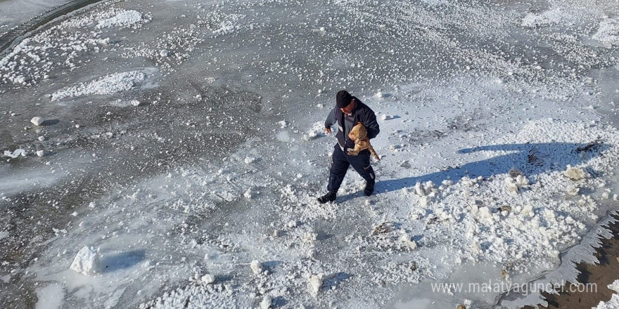 Bayburt’ta buz tutan nehre giren kediyi itfaiye kurtardı