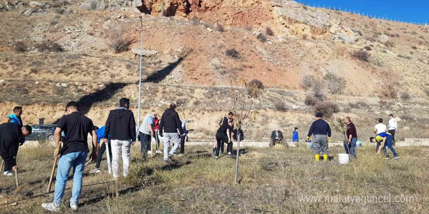 Bayburt’ta fidanlar toprakla buluştu