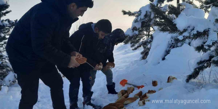 Bayburt’ta öğrenciler hayvanlar için doğaya yiyecek bıraktı