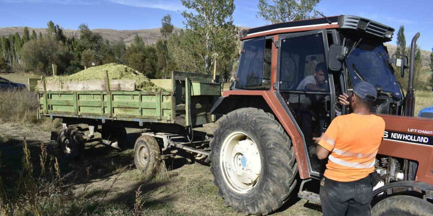 Bayburt’ta silajlık mısır hasadı başladı