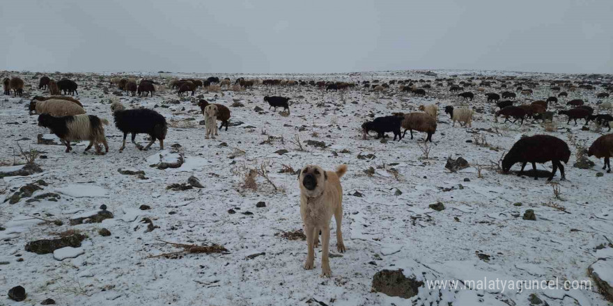 Bayburt’un yüksek kesimlerinde kar yağışı etkili oldu, göçerlerin yaylalardan köylere göçü başladı