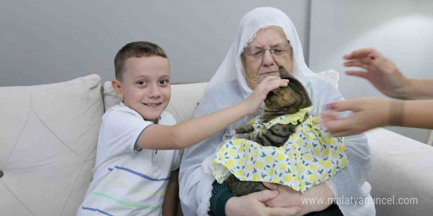 Bebek gibi giydirdiği kedisiyle 82 yaşında fenomen oldu