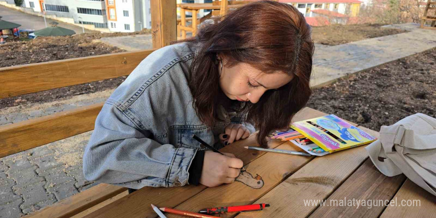 Belediye Başkanı yeni kurduğu parktaki kamelyaya çizilen resmi görünce, sosyal medyadan iş çağrısında bulundu