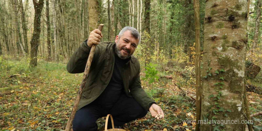 Belediye Başkanının ayı şaşkılığı