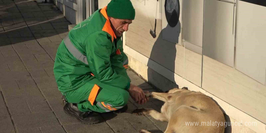 Belediye çalışanının köpekle keyifli vakit geçirmesi içleri ısıttı