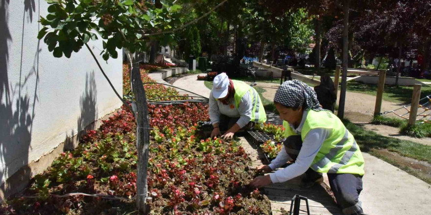 Belediye hem kendisi ekiyor hem de kendisi süslüyor