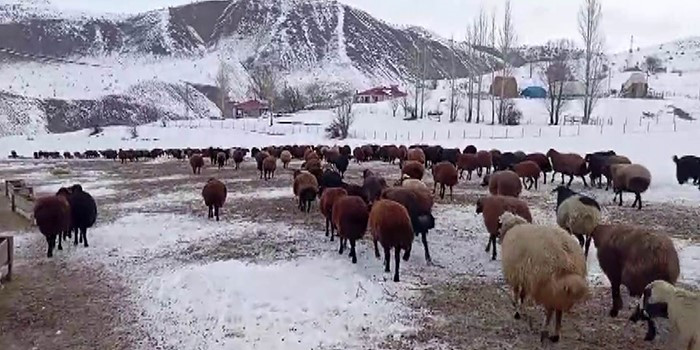 Besicilerin kar altında zorlu mesaisi